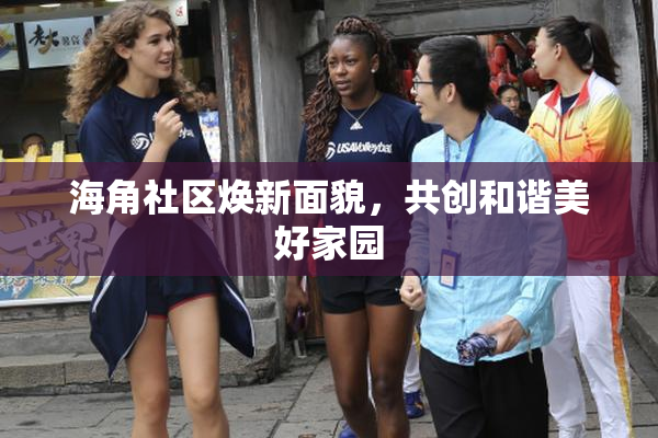 海角社区焕新面貌，共创和谐美好家园