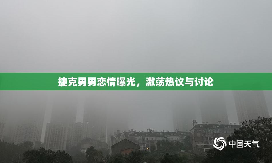 捷克男男恋情曝光，激荡热议与讨论