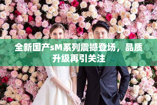 全新国产sM系列震撼登场，品质升级再引关注