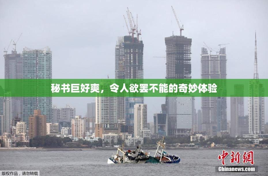 秘书巨好爽，令人欲罢不能的奇妙体验