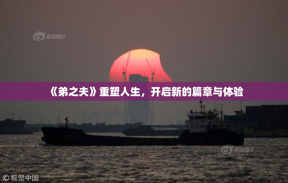 《弟之夫》重塑人生，开启新的篇章与体验