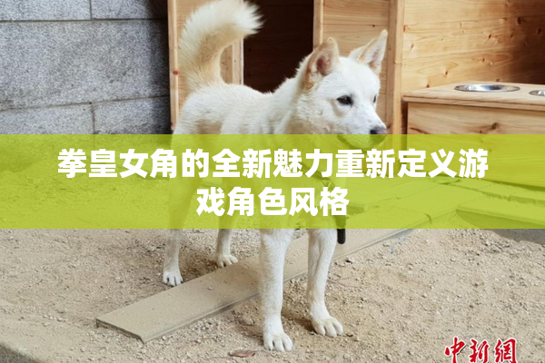 拳皇女角的全新魅力重新定义游戏角色风格