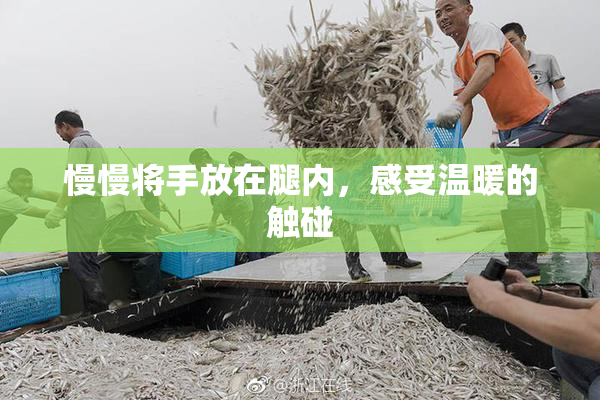 慢慢将手放在腿内，感受温暖的触碰