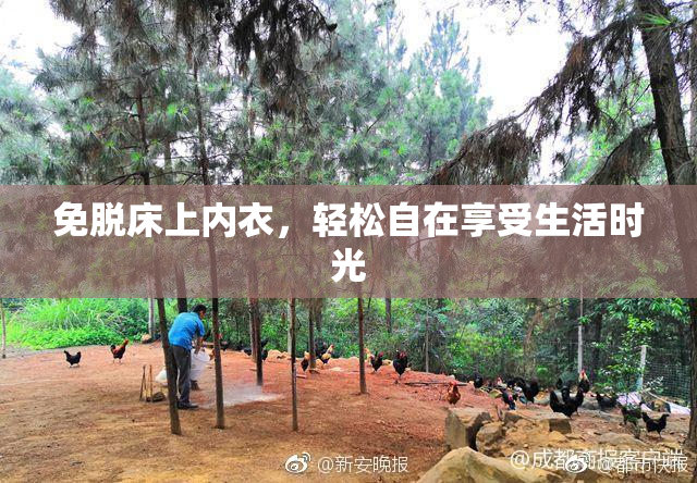 免脱床上内衣，轻松自在享受生活时光