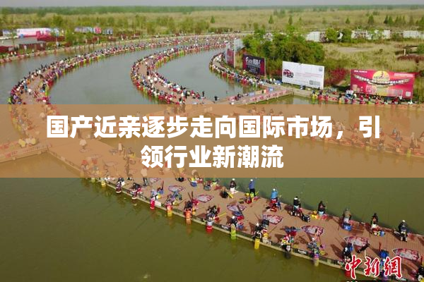 国产近亲逐步走向国际市场，引领行业新潮流