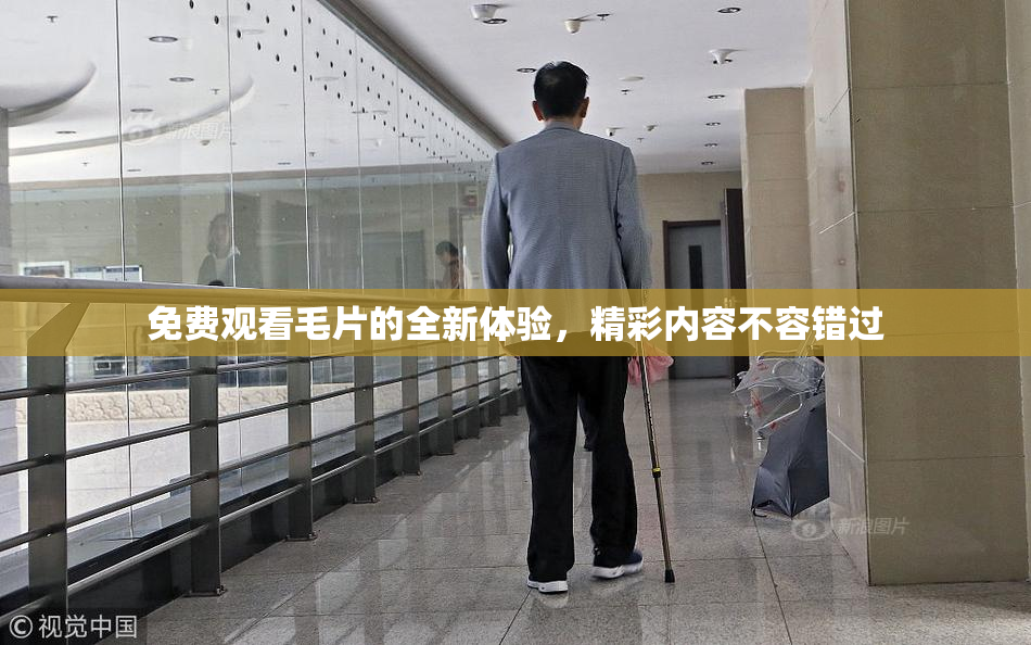 免费观看毛片的全新体验，精彩内容不容错过