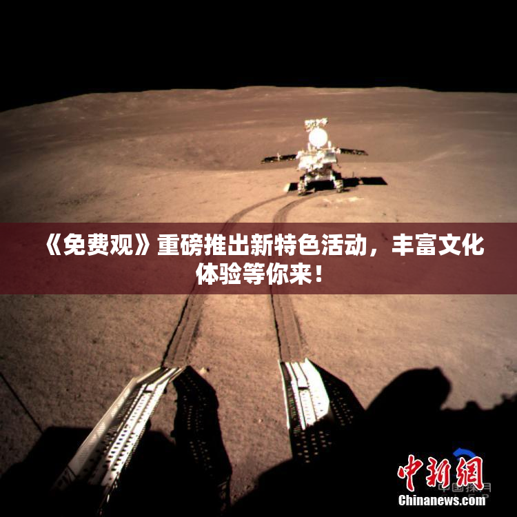 《免费观》重磅推出新特色活动，丰富文化体验等你来！
