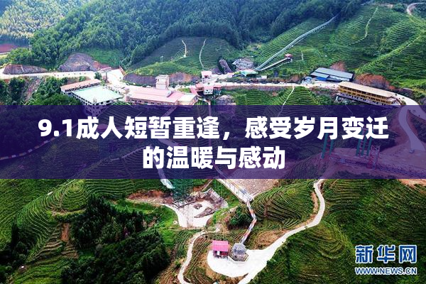 9.1成人短暂重逢，感受岁月变迁的温暖与感动