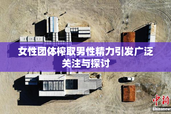 女性团体榨取男性精力引发广泛关注与探讨