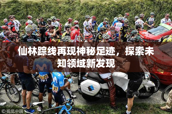仙林踪线再现神秘足迹，探索未知领域新发现