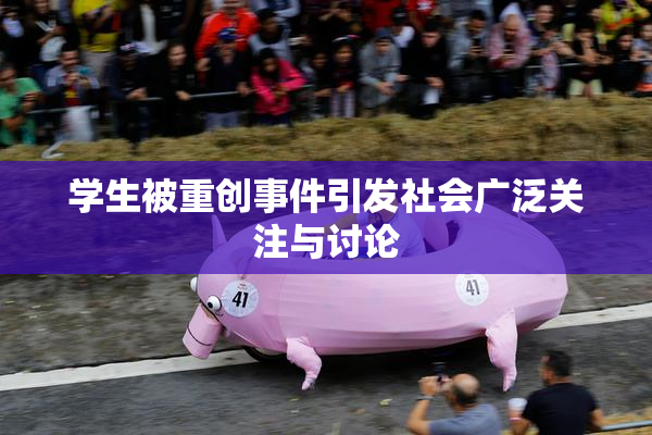 学生被重创事件引发社会广泛关注与讨论