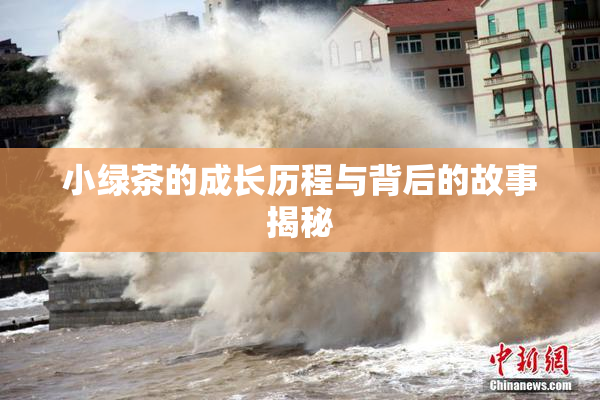 小绿茶的成长历程与背后的故事揭秘