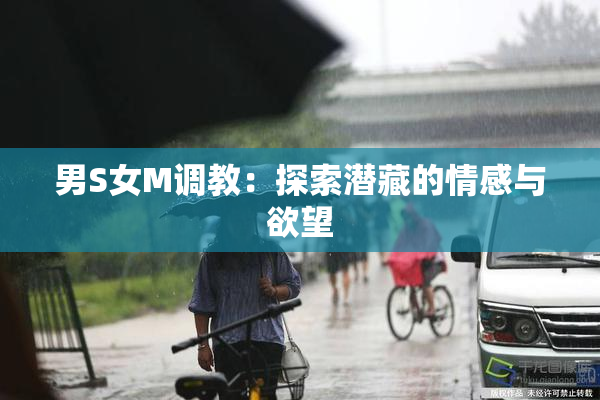 男S女M调教：探索潜藏的情感与欲望