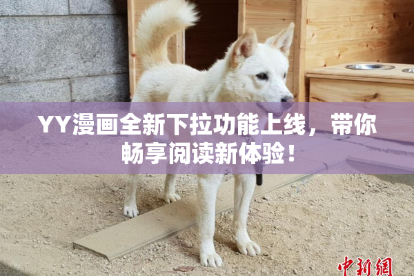 YY漫画全新下拉功能上线，带你畅享阅读新体验！