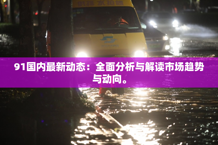 91国内最新动态：全面分析与解读市场趋势与动向。