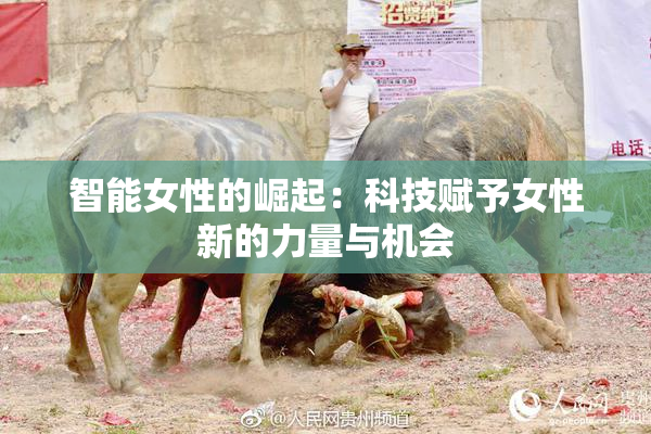 智能女性的崛起：科技赋予女性新的力量与机会