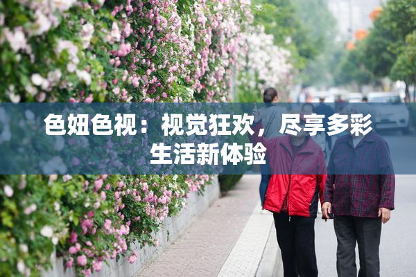 色妞色视：视觉狂欢，尽享多彩生活新体验
