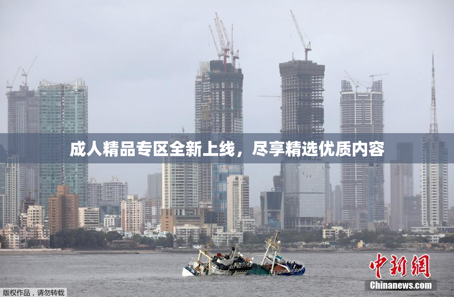 成人精品专区全新上线，尽享精选优质内容