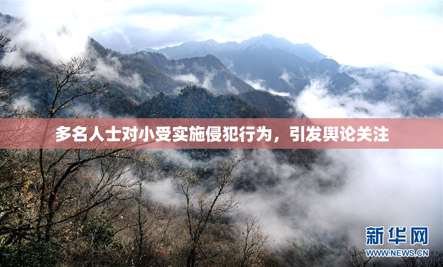 多名人士对小受实施侵犯行为，引发舆论关注