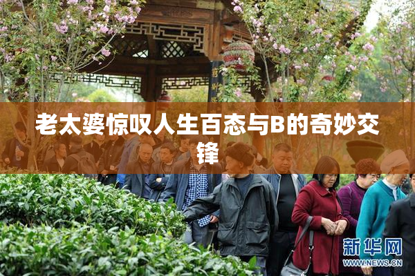 老太婆惊叹人生百态与B的奇妙交锋