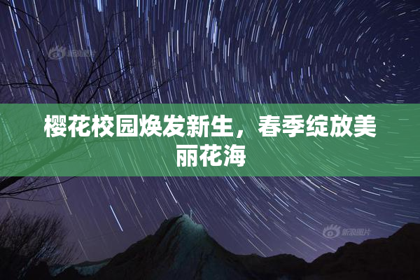 樱花校园焕发新生，春季绽放美丽花海