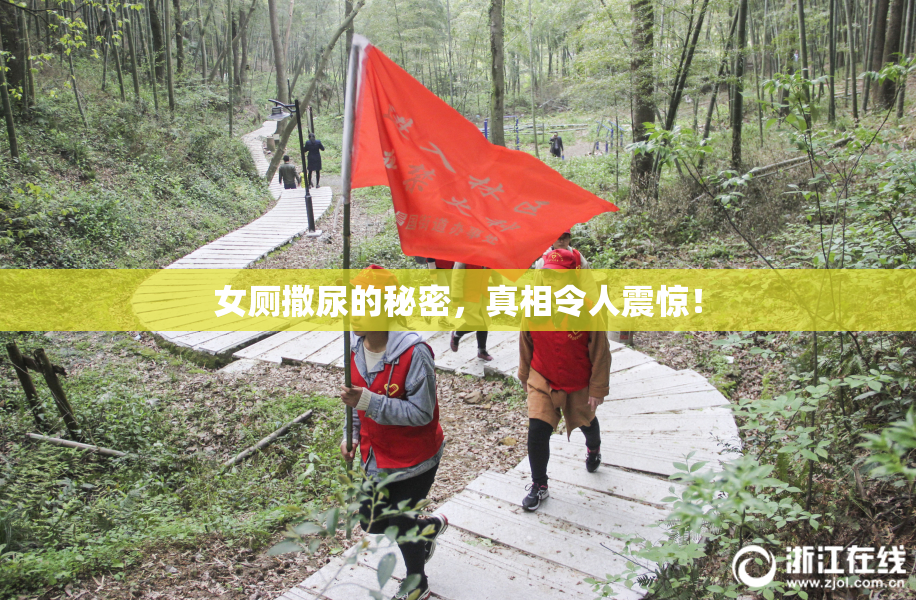 女厕撒尿的秘密，真相令人震惊！