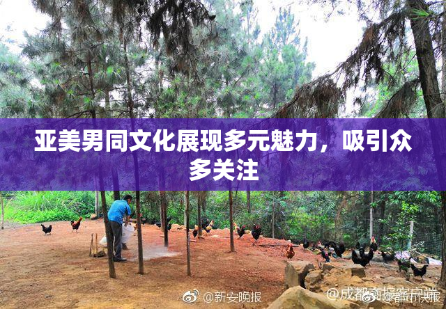 亚美男同文化展现多元魅力，吸引众多关注