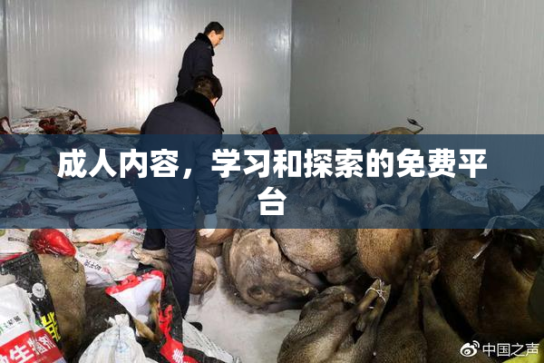 成人内容，学习和探索的免费平台