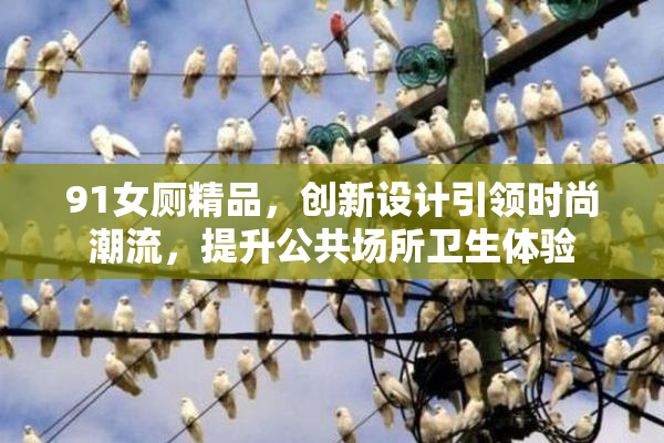 91女厕精品，创新设计引领时尚潮流，提升公共场所卫生体验