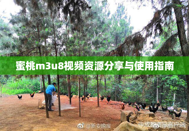 蜜桃m3u8视频资源分享与使用指南