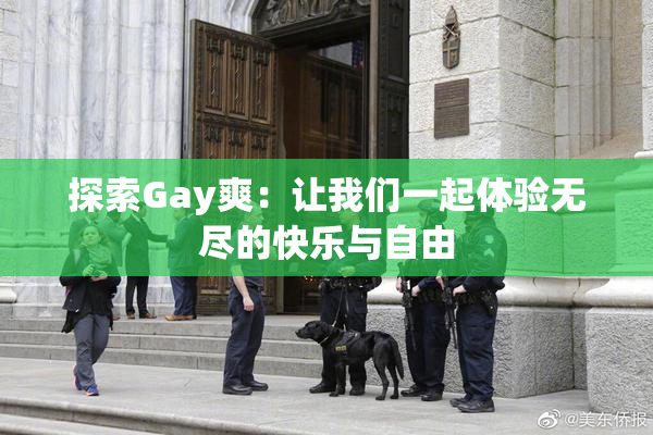 探索Gay爽：让我们一起体验无尽的快乐与自由