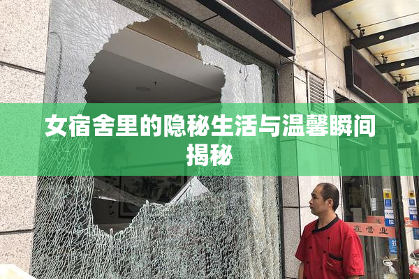女宿舍里的隐秘生活与温馨瞬间揭秘