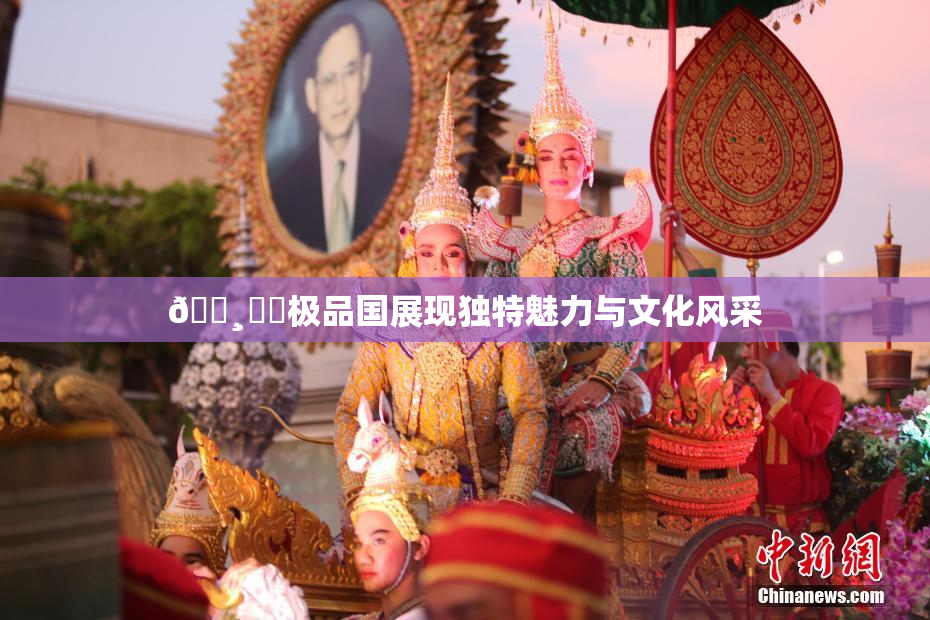 🌸‌✿极品国展现独特魅力与文化风采