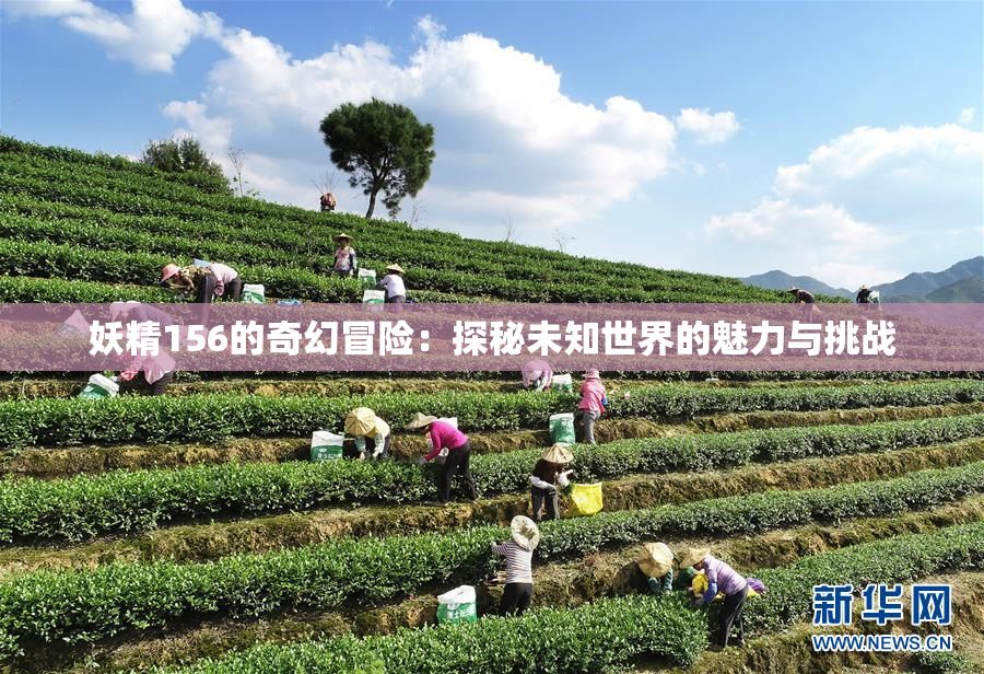 妖精156的奇幻冒险：探秘未知世界的魅力与挑战