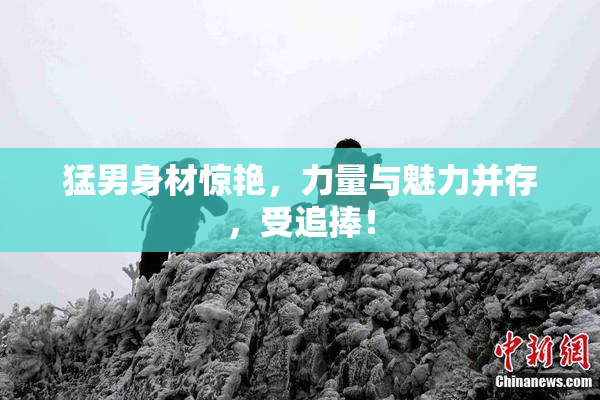 猛男身材惊艳，力量与魅力并存，受追捧！