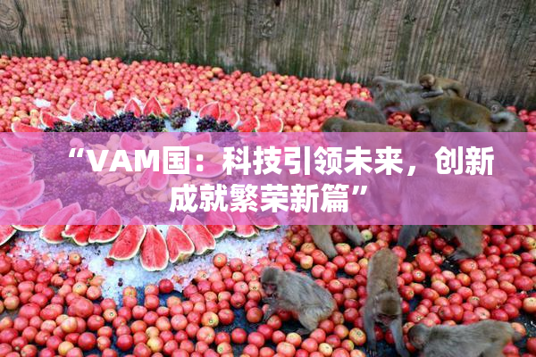 “VAM国：科技引领未来，创新成就繁荣新篇”