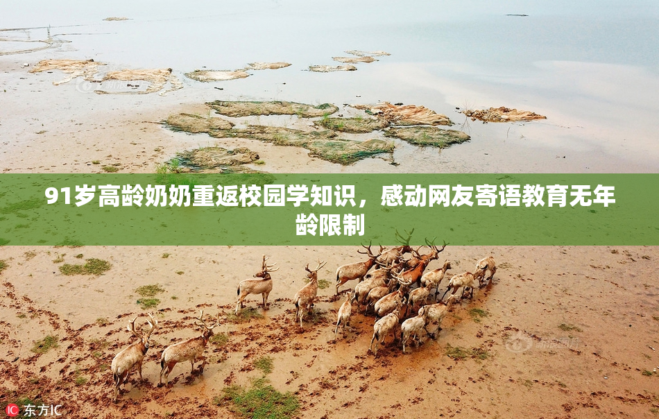 91岁高龄奶奶重返校园学知识，感动网友寄语教育无年龄限制