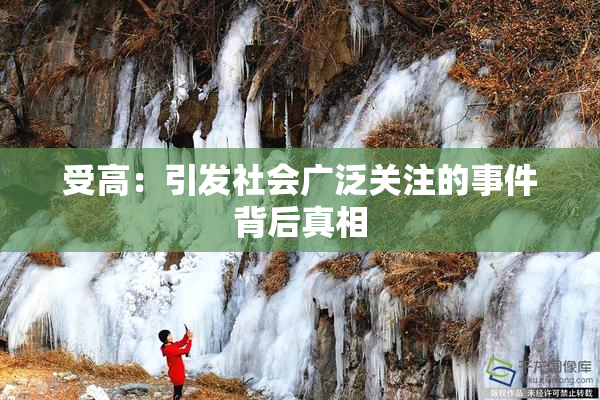 受高：引发社会广泛关注的事件背后真相