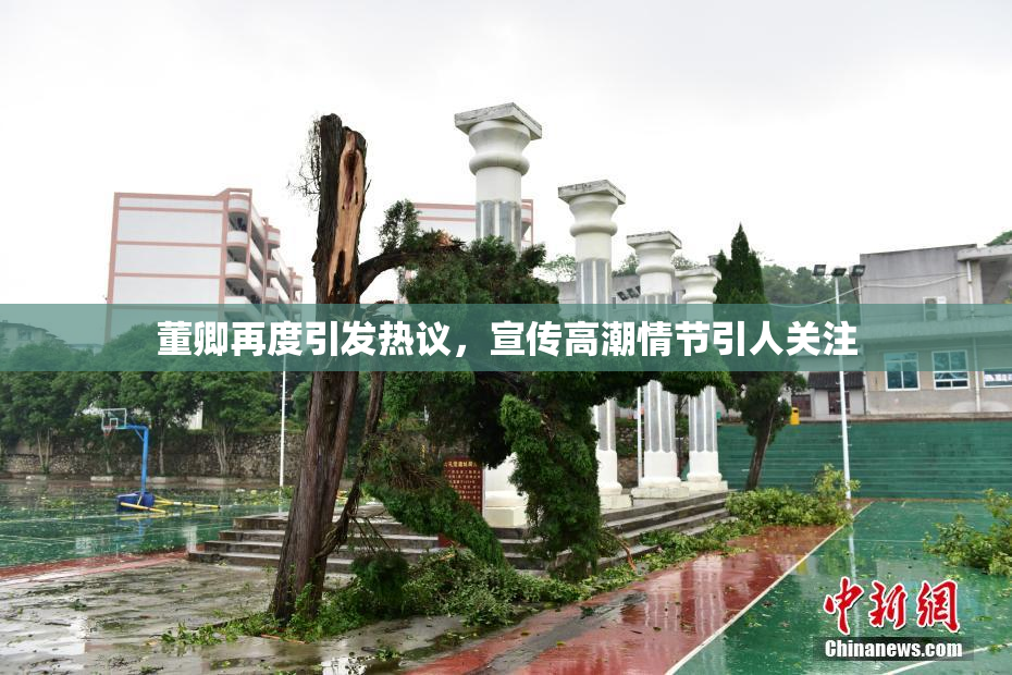 董卿再度引发热议，宣传高潮情节引人关注