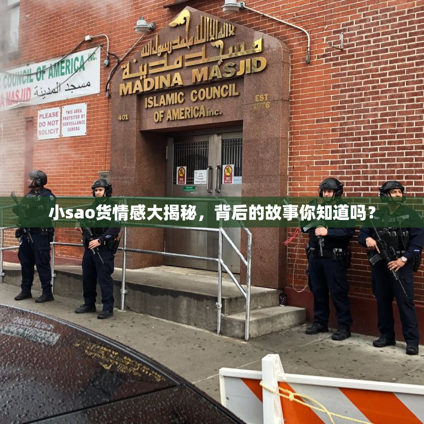 小sao货情感大揭秘，背后的故事你知道吗？