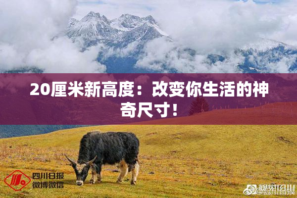 20厘米新高度：改变你生活的神奇尺寸！