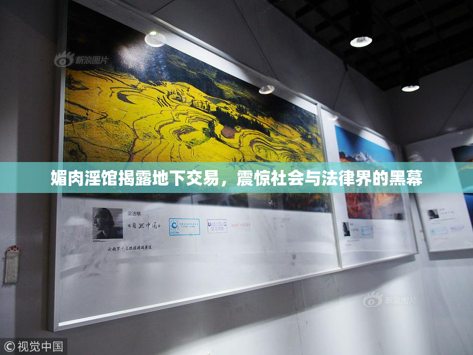 媚肉淫馆揭露地下交易，震惊社会与法律界的黑幕