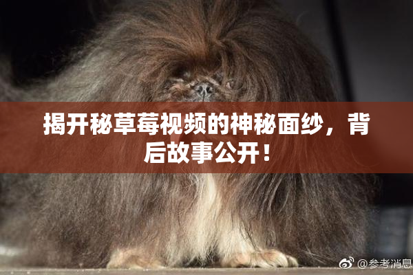 揭开秘草莓视频的神秘面纱，背后故事公开！