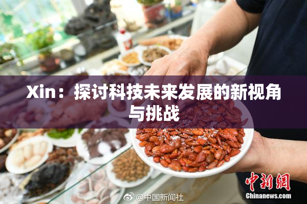 Xin：探讨科技未来发展的新视角与挑战