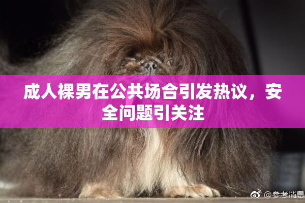 成人裸男在公共场合引发热议，安全问题引关注