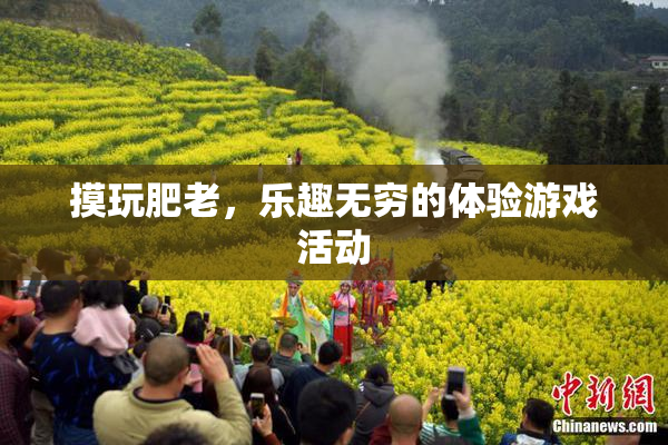 摸玩肥老，乐趣无穷的体验游戏活动