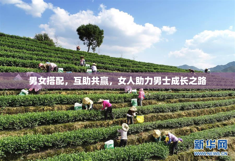 男女搭配，互助共赢，女人助力男士成长之路