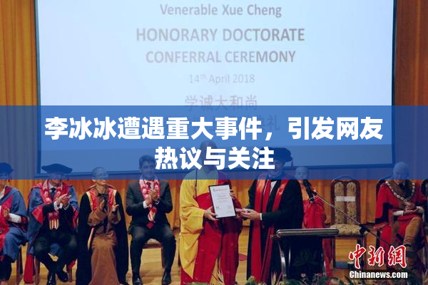 李冰冰遭遇重大事件，引发网友热议与关注