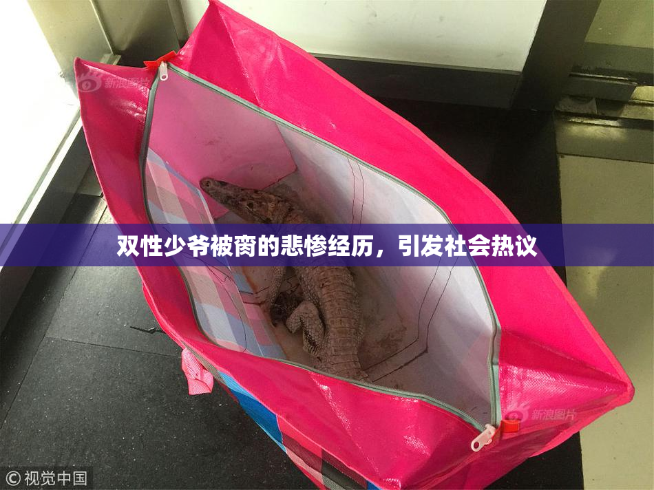 双性少爷被脔的悲惨经历，引发社会热议