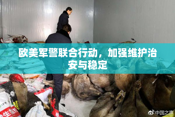 欧美军警联合行动，加强维护治安与稳定